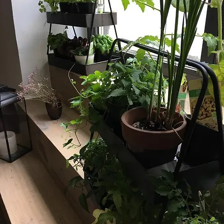 Faktorei Hotel Innsbruck