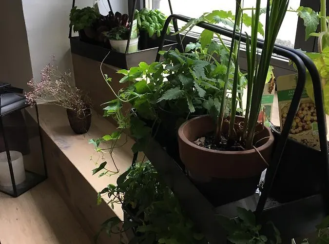 Faktorei Отель Инсбрук